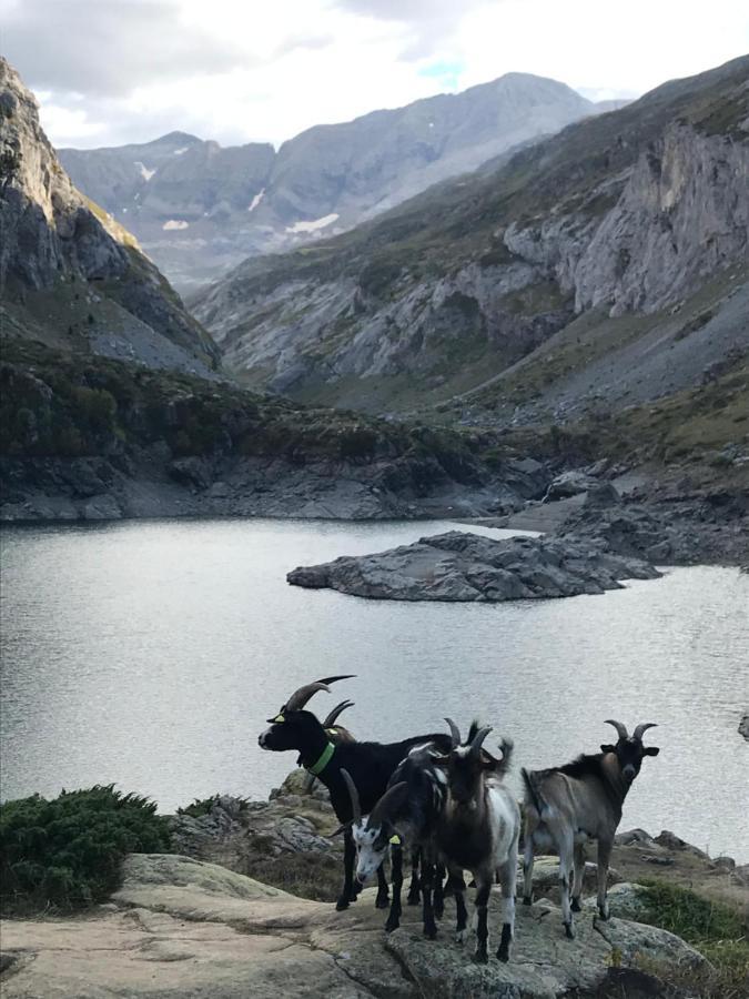 Appartement Gavarnie Residence Les 3 Cirques Gèdre Zewnętrze zdjęcie